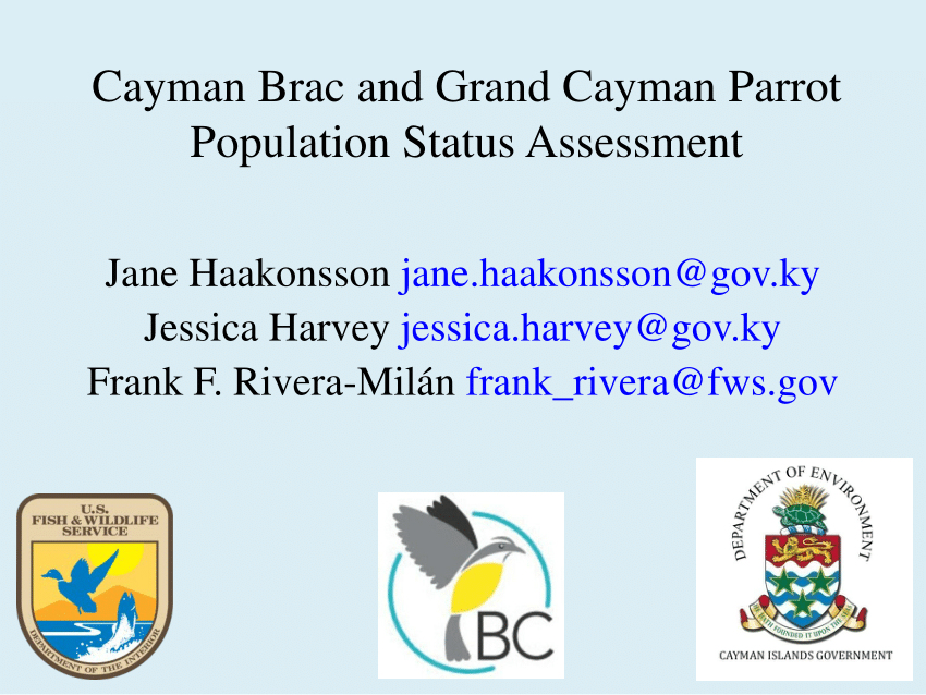 (PDF) Cayman Brac and Grand Cayman Parrot Population Status Assessment