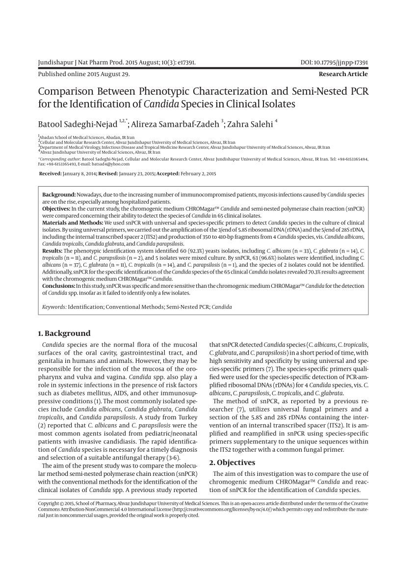 Pdf Comparison Between Phenotypic Characterization And Semi Nested Pcr For The Identification 