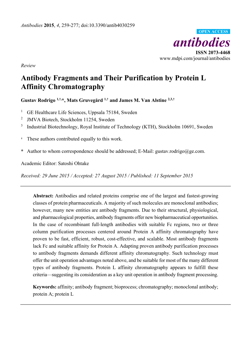 Pdf Antibody Fragments And Their Purification By Protein L Affinity Chromatography