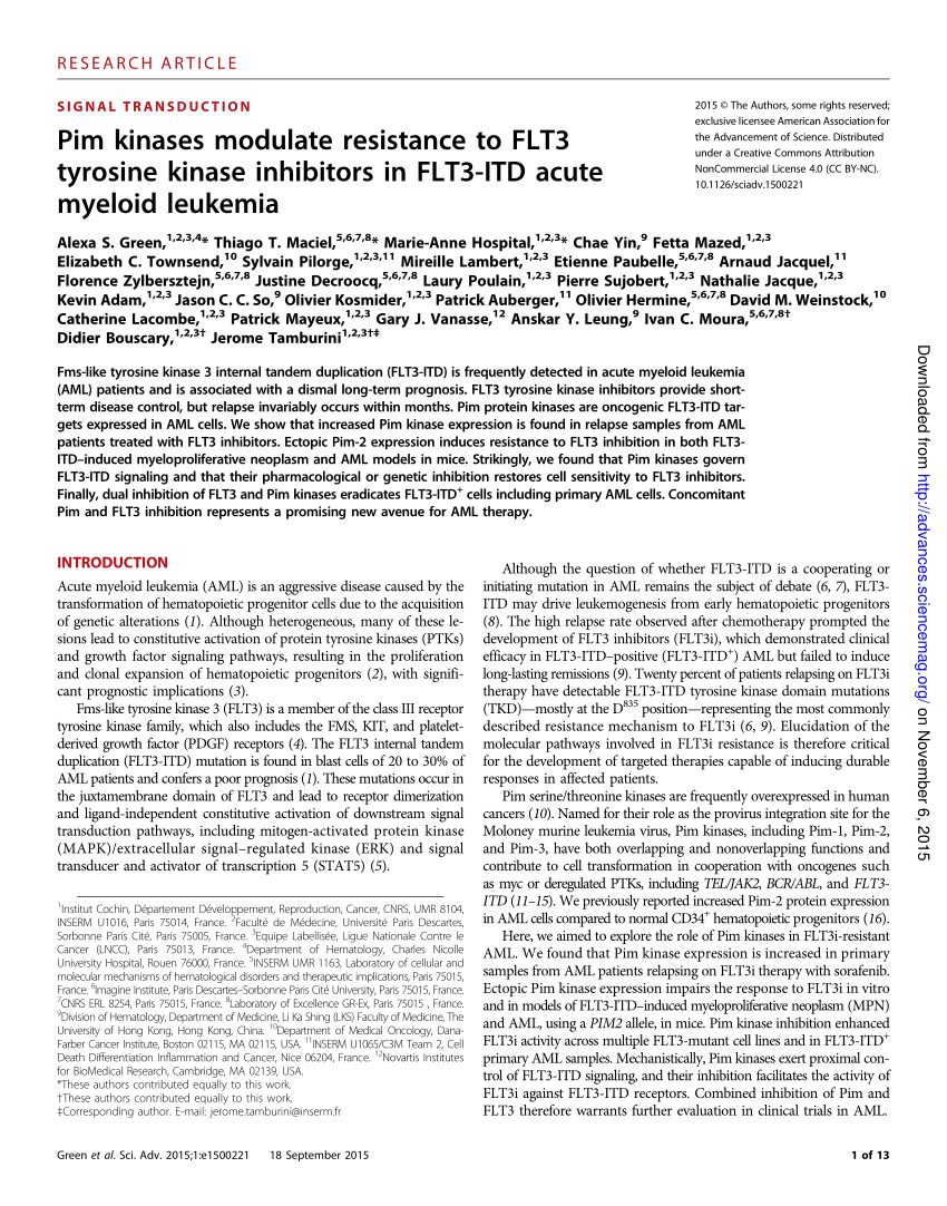 Pim kinases modulate resistance to FLT3 tyrosine kinase 