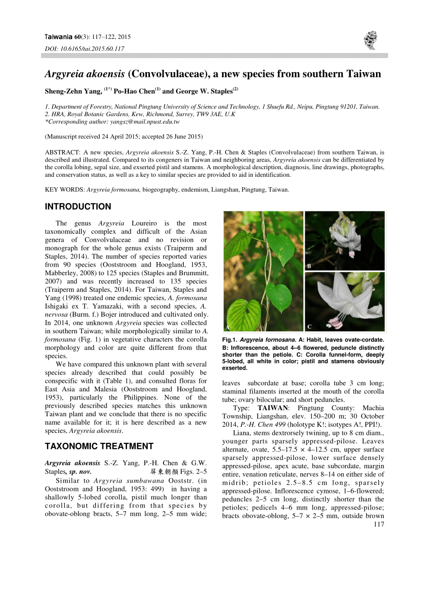 Pdf Argyreia Akoensis Convolvulaceae A New Species From Southern Taiwan