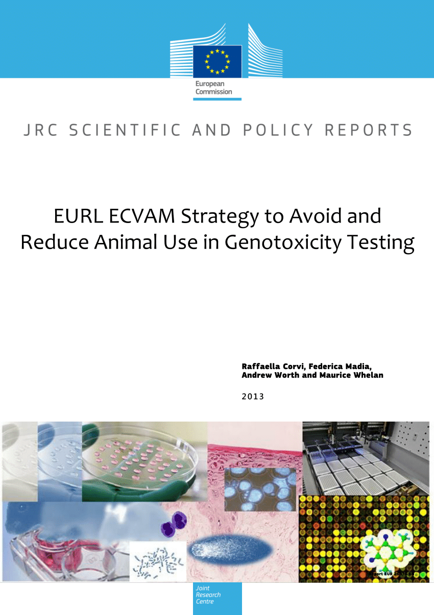 (PDF) EURL ECVAM strategy to avoid and reduce animal use in