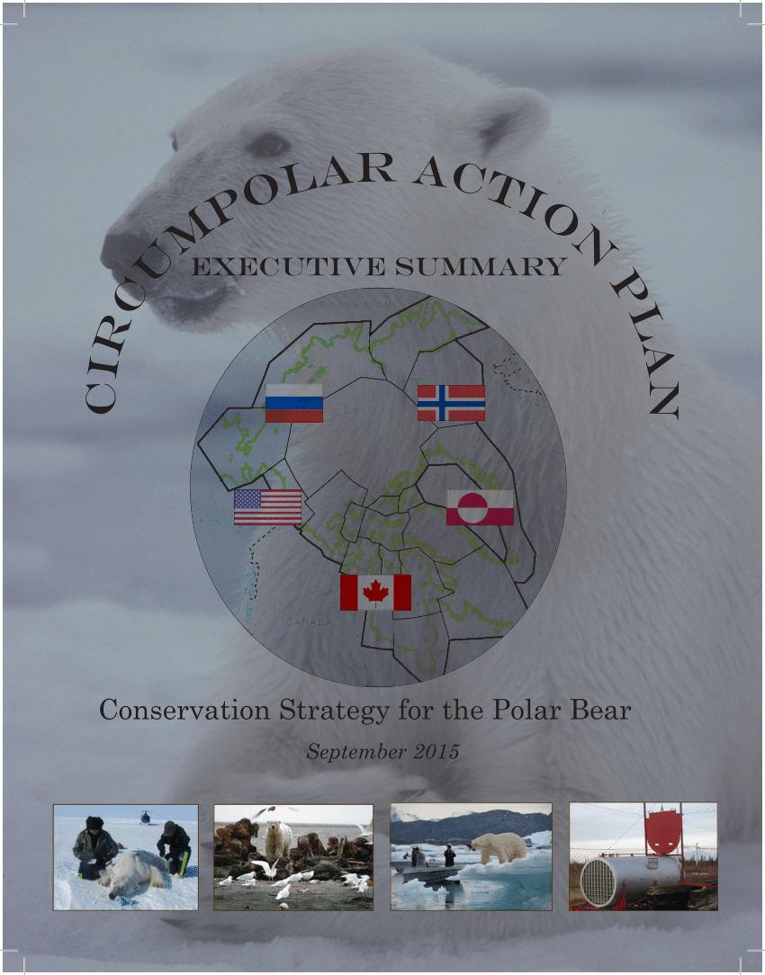 (PDF) Circumpolar Action Plan Conservation Strategy for Polar Bears. A