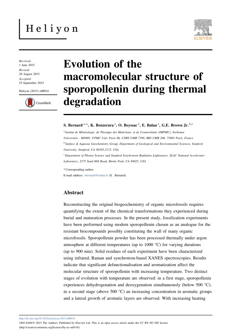 PDF) Evolution of the macromolecular structure of sporopollenin ...