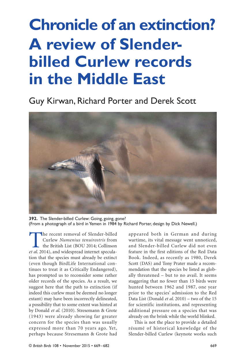 Pdf Chronicle Of An Extinction Foretold A Review Of Slender Billed Curlew Records In The Middle East
