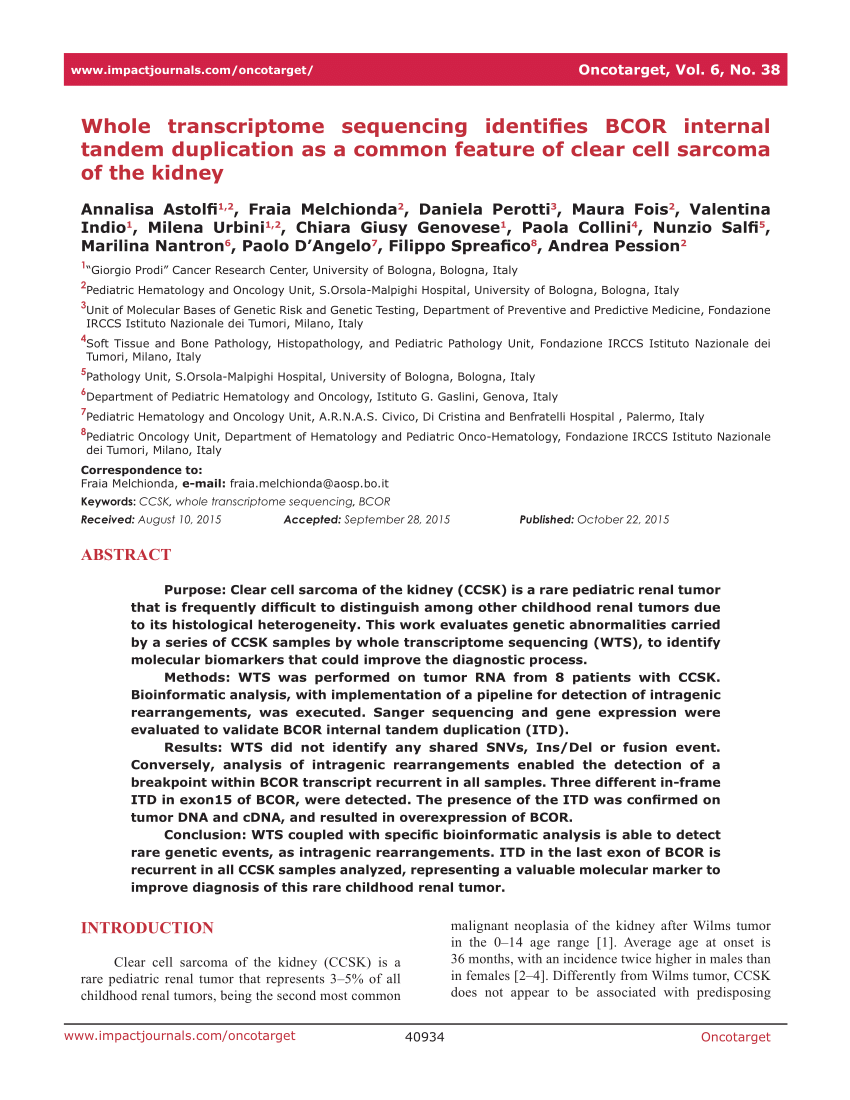 CCSK PDF | Sns-Brigh10