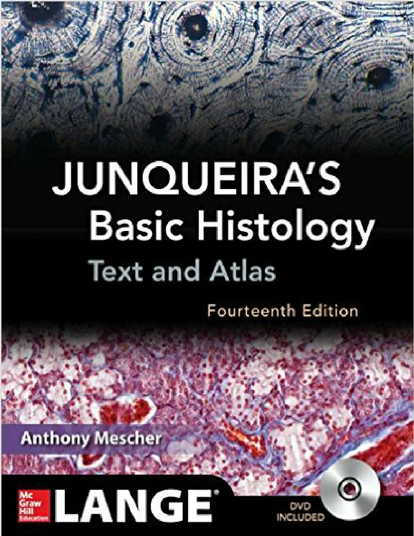 Download Pdf Junqueira S Basic Histology Text Atlas 14th Ed
