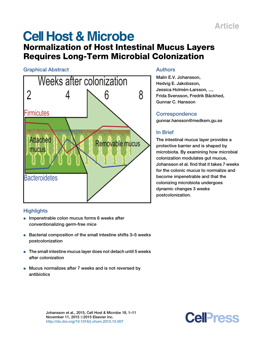 PDF) Normalization of Host Intestinal Mucus Layers Requires Long-Term  Microbial Colonization