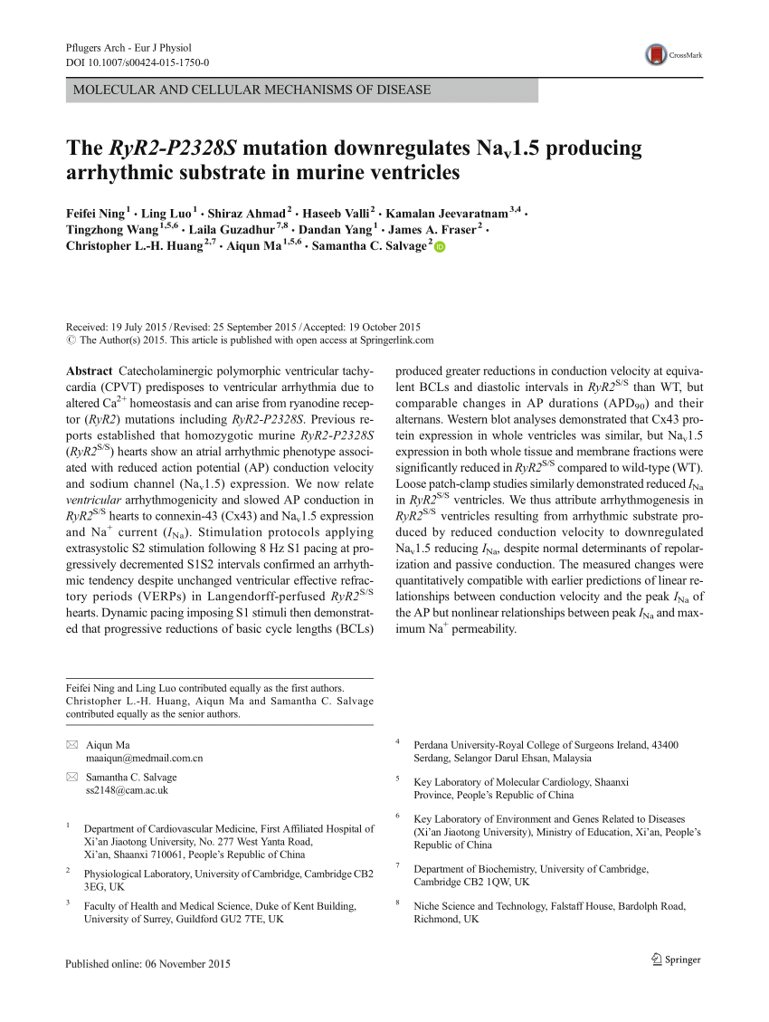 Pdf The Ryr2 P2328s Mutation Downregulates Nav1 5 Producing