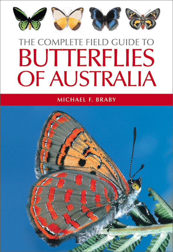 Pdf The Complete Field Guide To Butterflies Of Australia