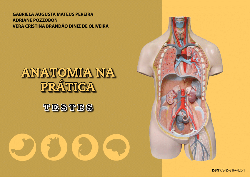 Estudantes de Medicina criam aplicativo para auxiliar no aprendizado da  disciplina Anatomia — Universidade Federal do Maranhão