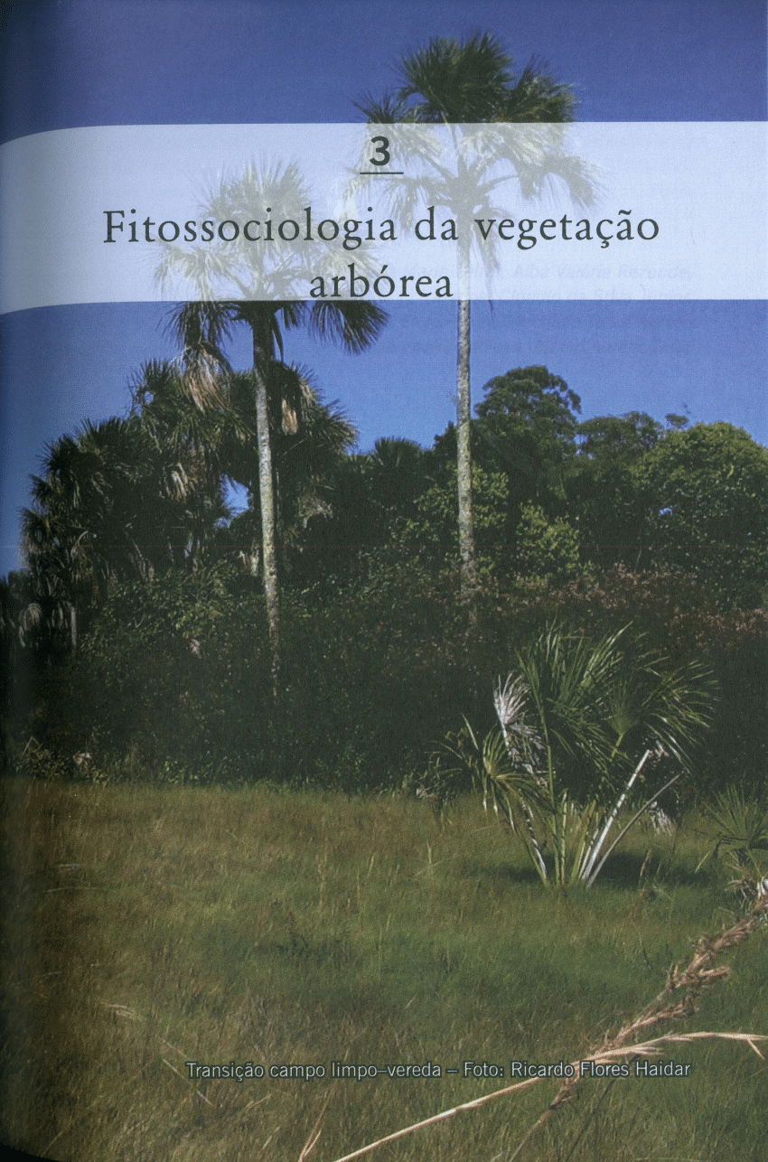 Pdf Fitossociologia Da Vegetação Arbórea 1850