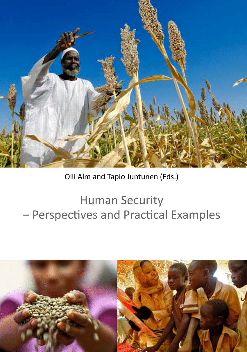 PDF) Human Security – Perspectives and Practical Examples