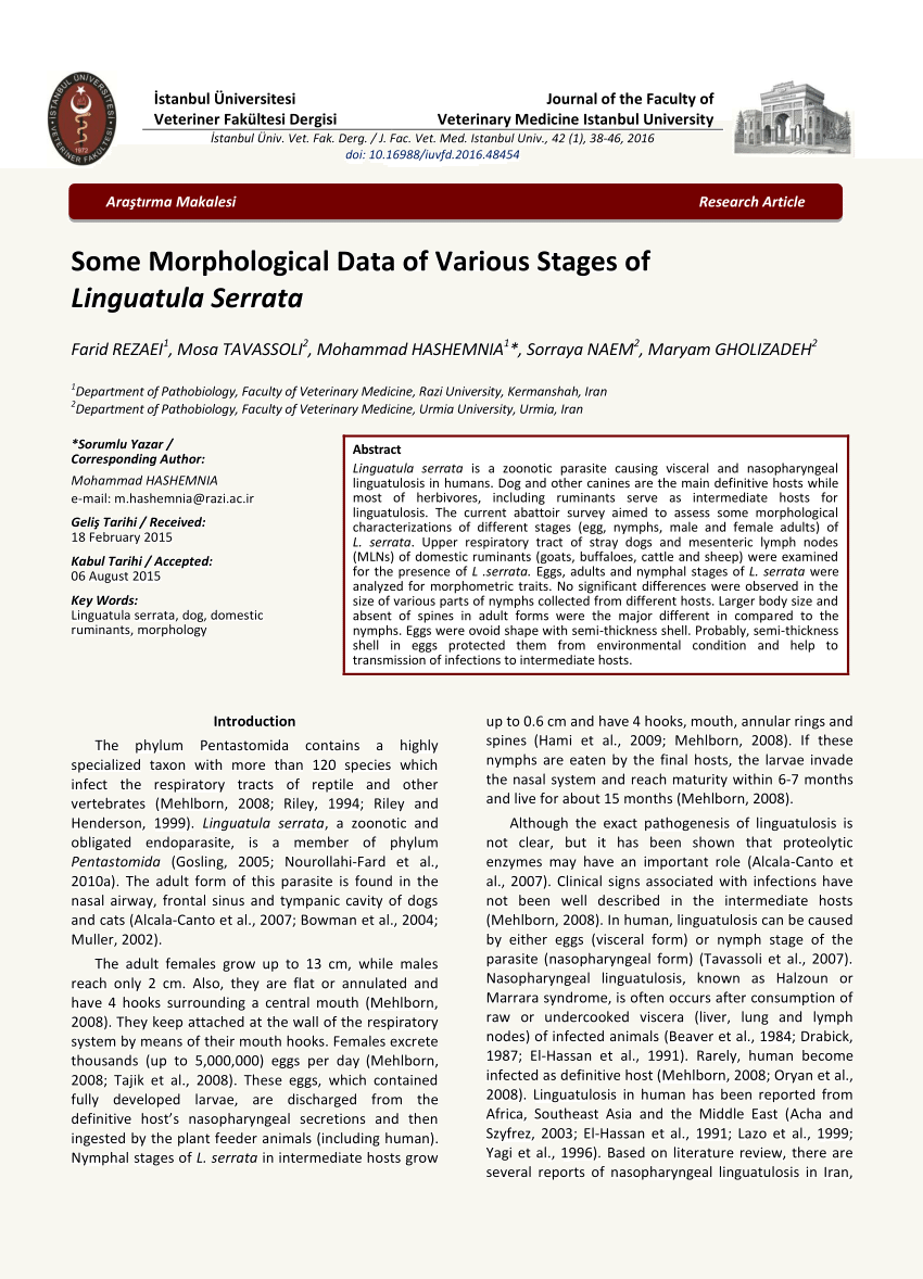 Pdf Some Morphological Data Of Various Stages Of Linguatula Serrata