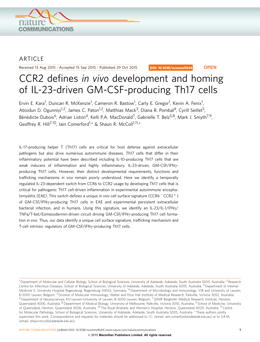 Braindumps D-CSF-SC-23 Pdf