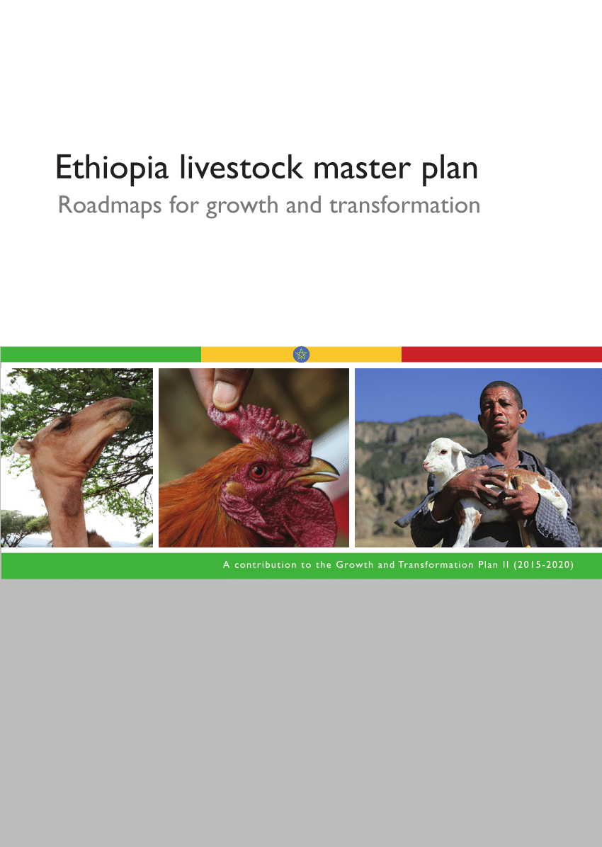 agriculture business plan in ethiopia