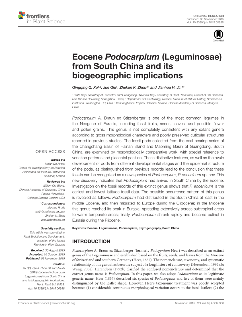 Pdf Eocene Podocarpium Leguminosae From South China And Its