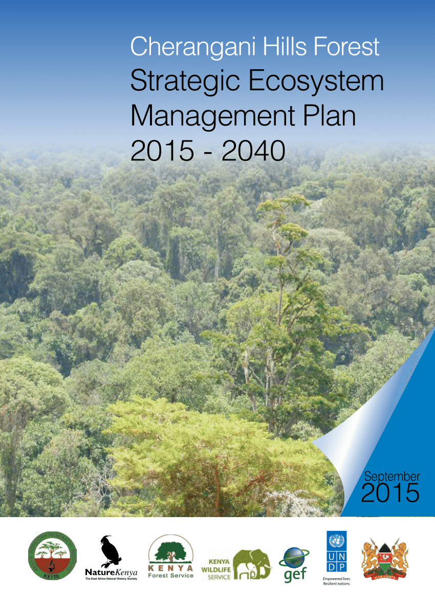 strategic forest management plan