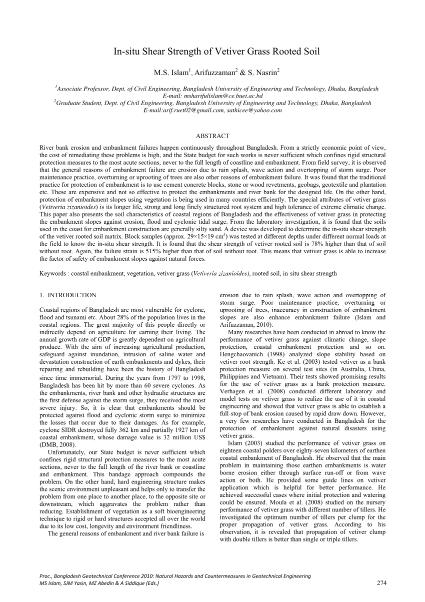 Grass - Vetiver (Chrysopogon zizanioides) 1G