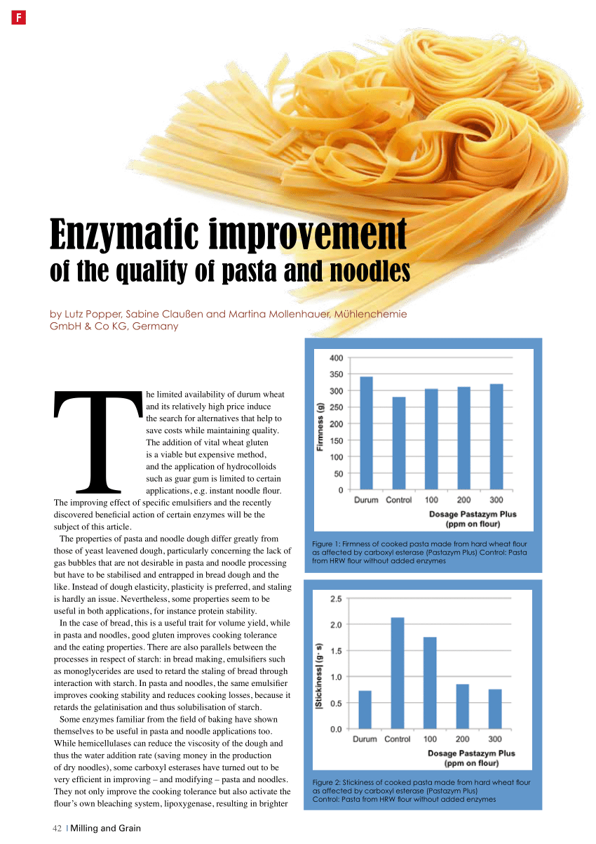 research paper for noodles