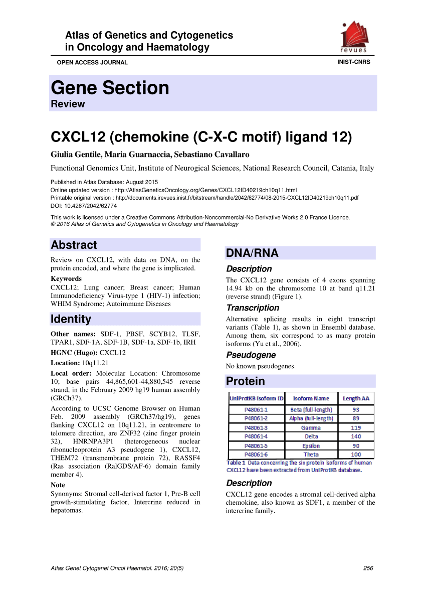 Pdf Cxcl12 Chemokine C X C Motif Ligand 12
