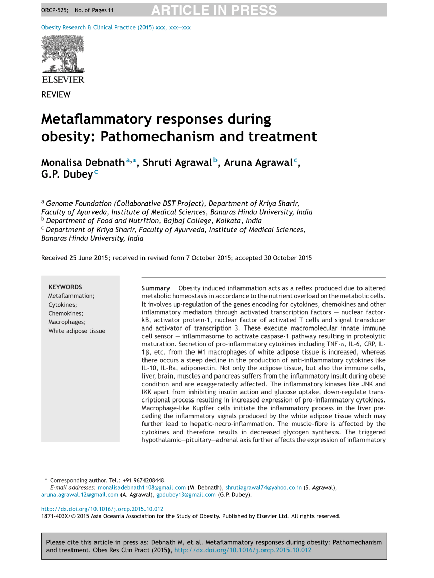 PDF Metaflammatory responses during obesity Pathomechanism and