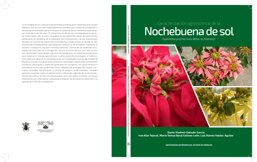 PDF) Caracterización agronómica de la Nochebuena de Sol