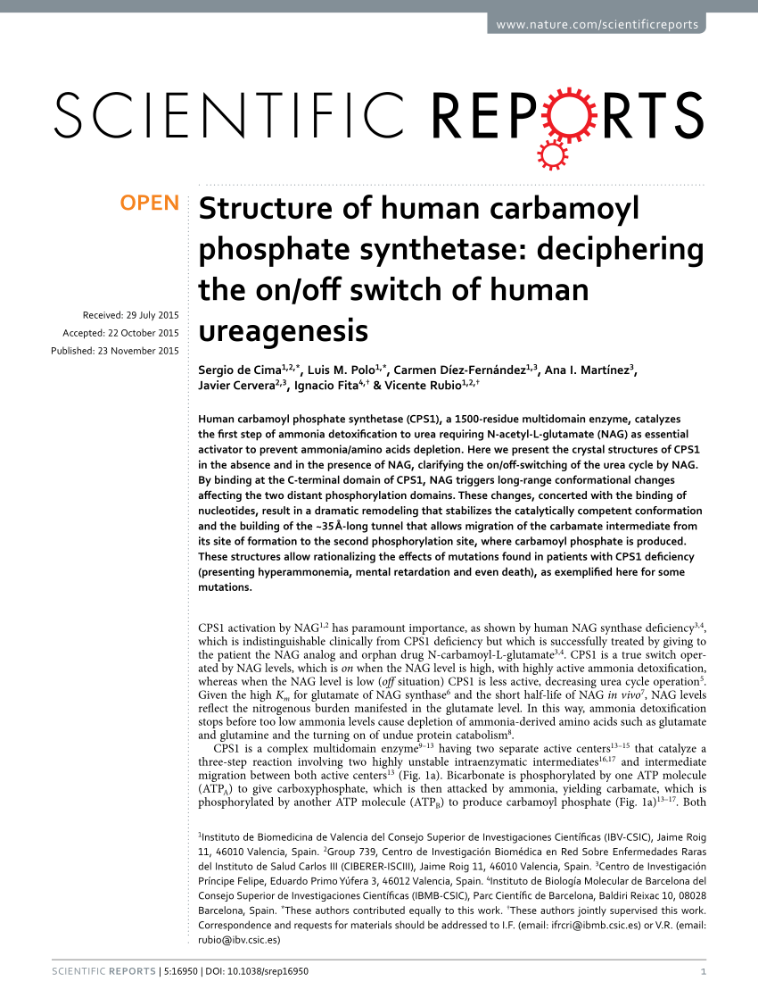 Carbamate Transport in Carbamoyl Phosphate Synthetase: A