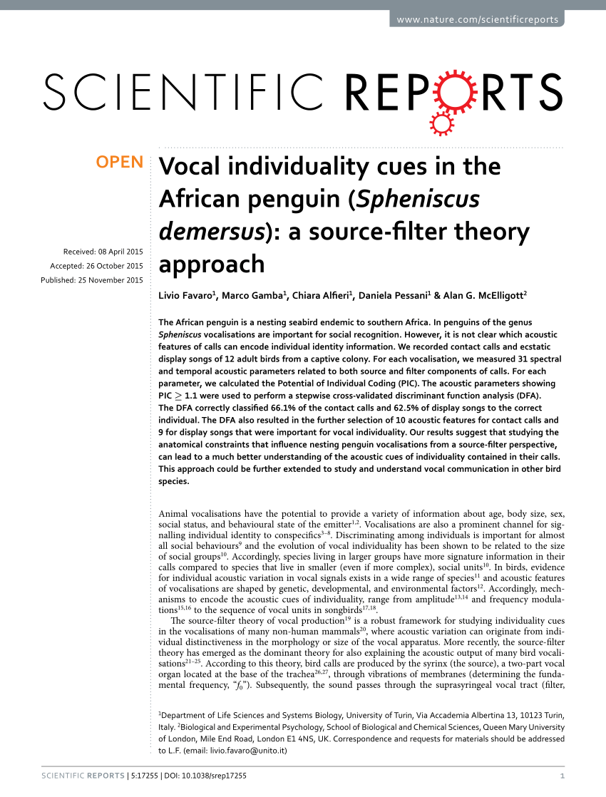 PDF) Vocal individuality cues in the African penguin (Spheniscus