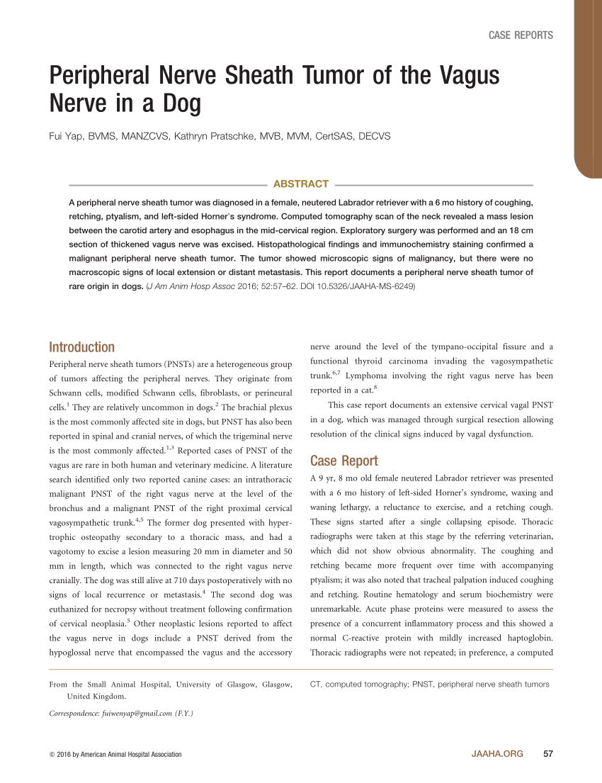 Pdf Peripheral Nerve Sheath Tumor Of The Vagus Nerve In A Dog
