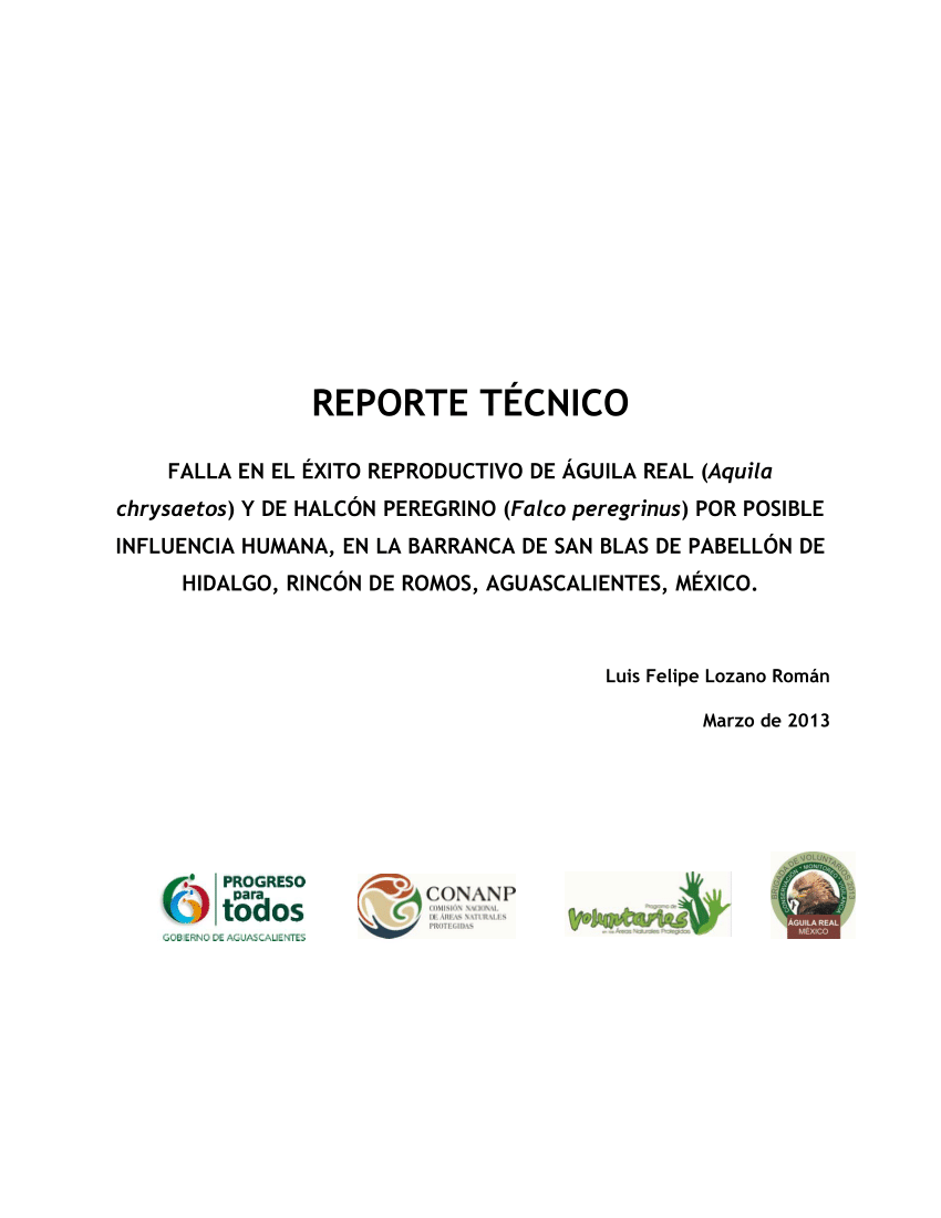 PDF) Reporte técnico sobre el águila real Aquila chrysaetos y el halcón  peregrino Falco peregrinus, en la barranca de san Blas, Rincón de Romos,  Aguascalientes, México