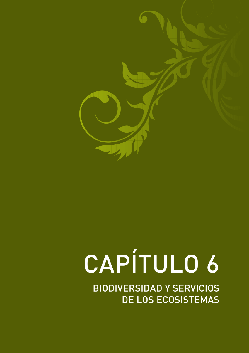 PDF) Biodiversidad y servicios de los ecosistemas