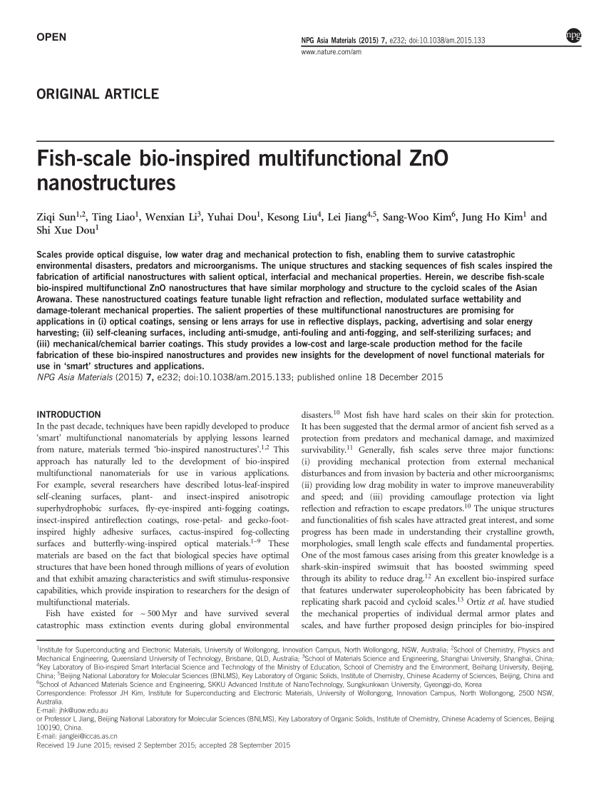 Fish-scale bio-inspired multifunctional ZnO nanostructures
