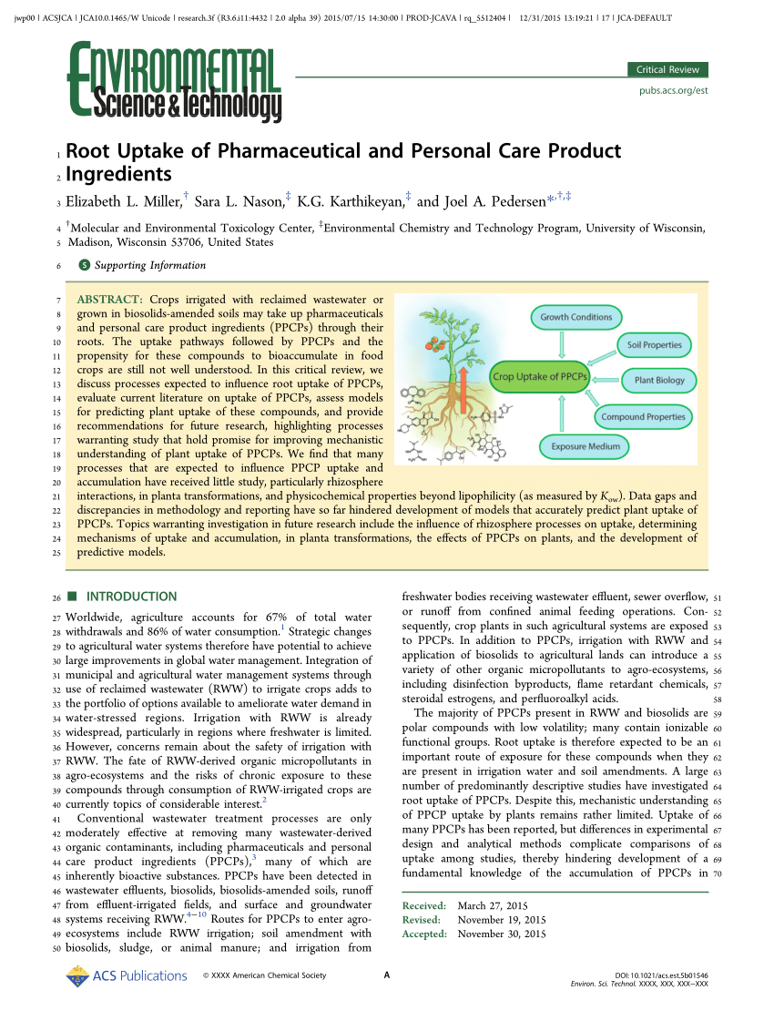(PDF) Root Uptake of Pharmaceutical and Personal Care Product Ingredients