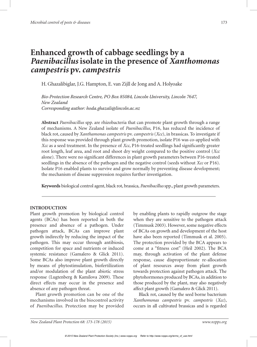 PDF) Enhanced growth of cabbage seedlings by a Paenibacillus ...