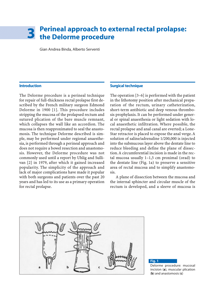 Pdf Perineal Approach To External Rectal Prolapse The Delorme Procedure