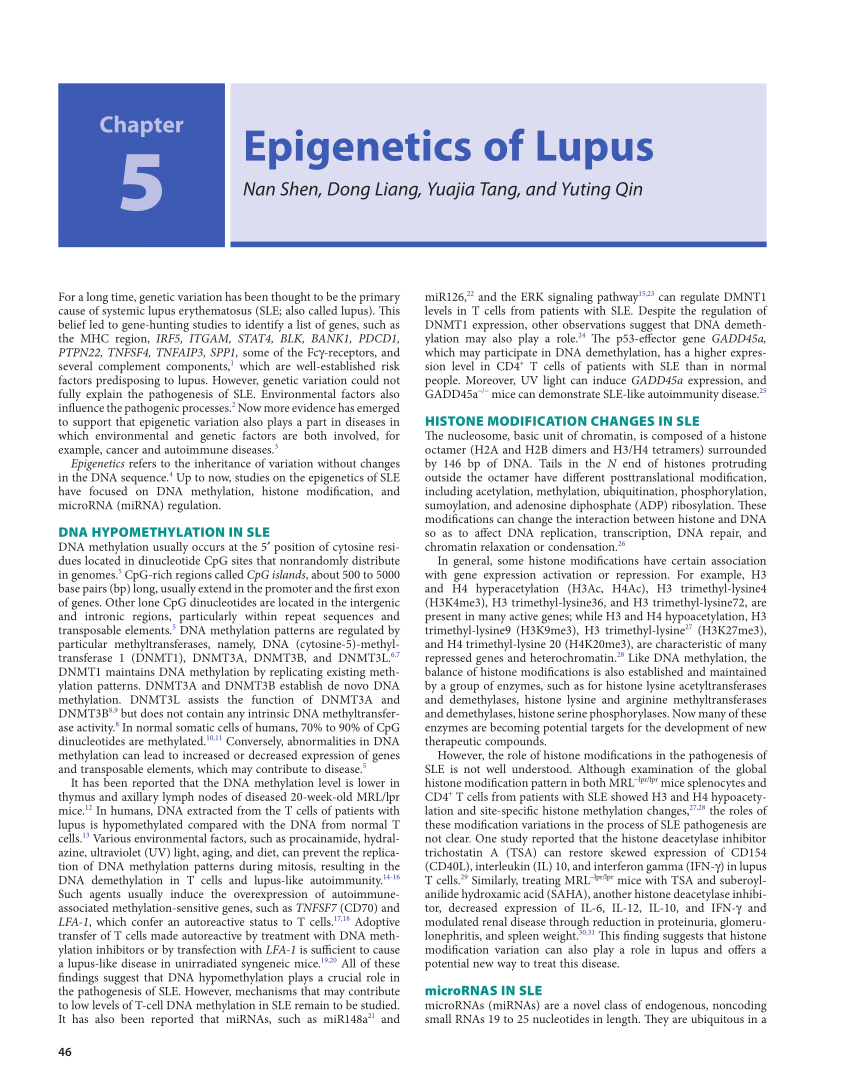 lupus novel pdf
