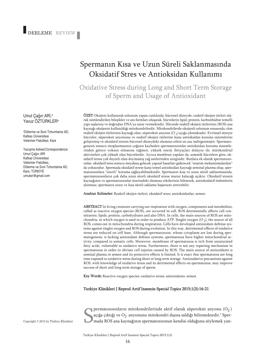 PDF Oxidative Stress during Long and Short Term Storage of Sperm  