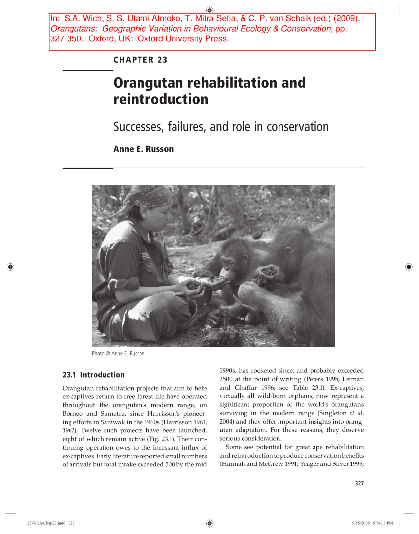 Pdf Orangutan Rehabilitation And Reintroduction