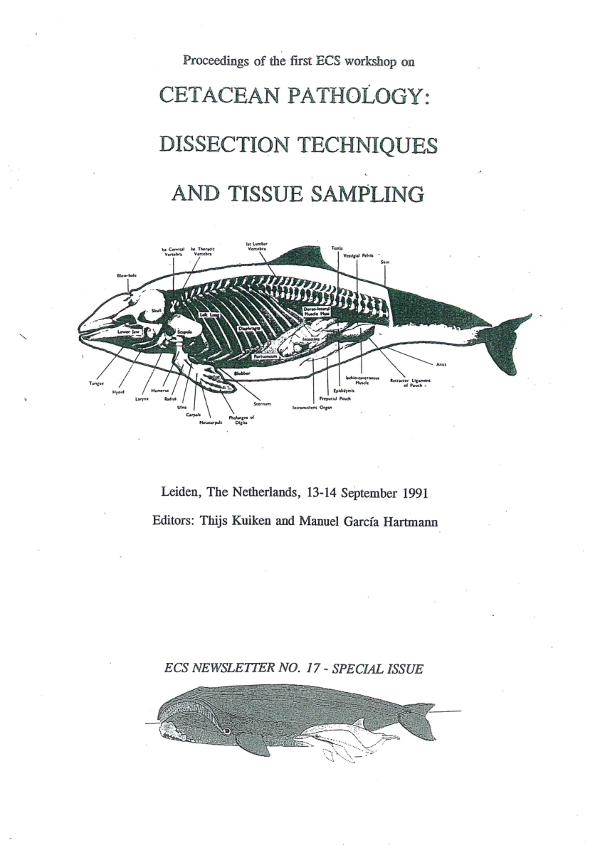 (PDF) Cetacean Dissection techniques and tissue sampling