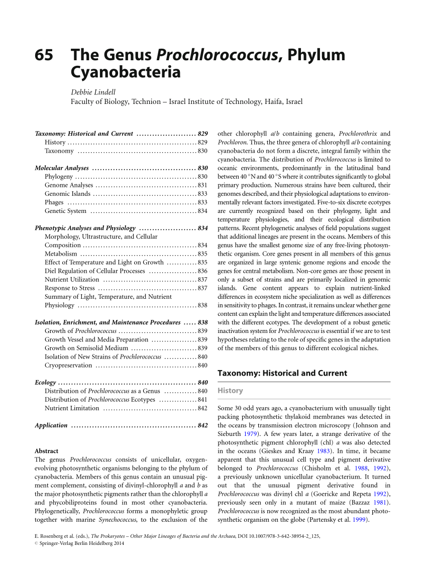 (PDF) The Genus Prochlorococcus, Phylum Cyanobacteria