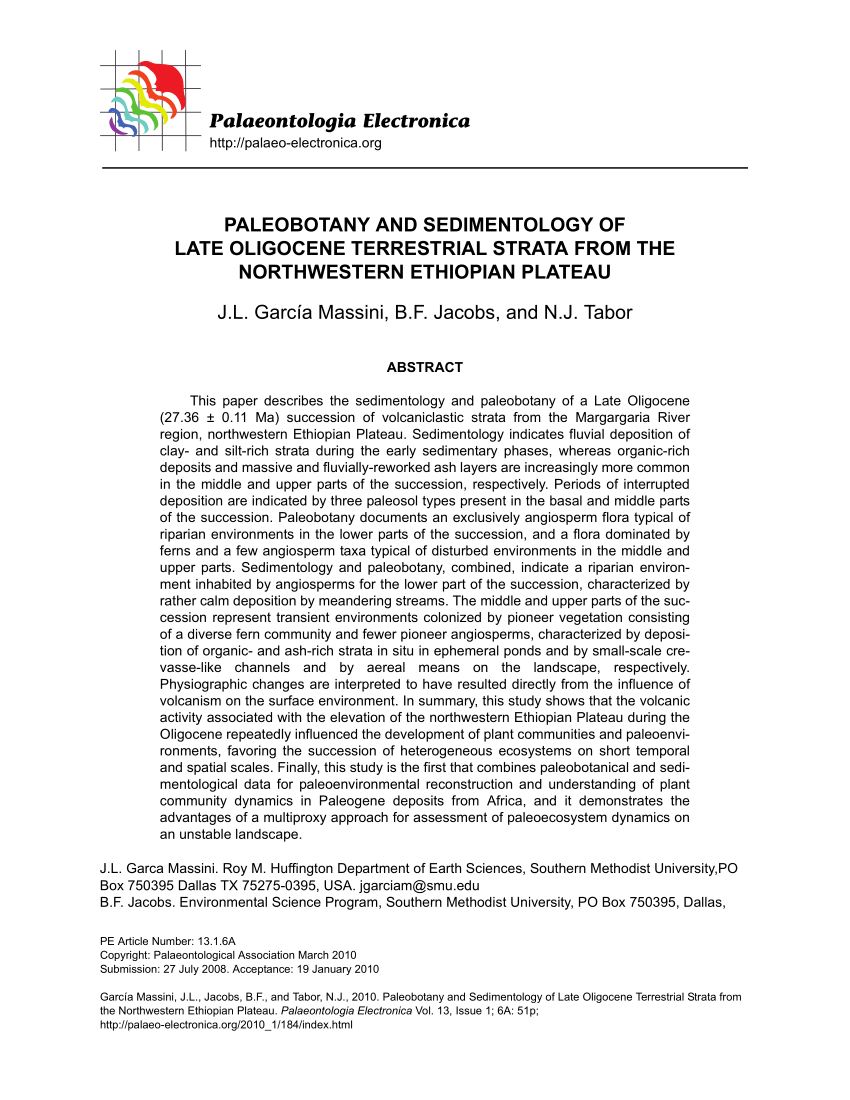 (PDF) Paleobotany and sedimentology of late oligocene terrestrial Sns-Brigh10