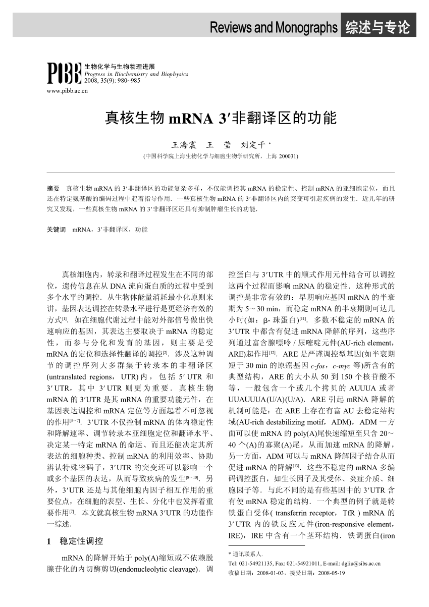 Pdf Functions Of The 3 Untranslated Region Of Eukaryotic Mrna