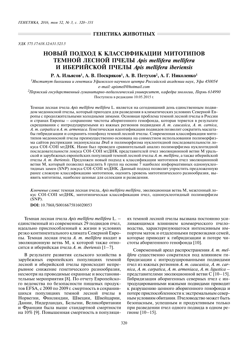 PDF) Новый подход к классификации митотипов темной лесной пчелы аpis  mellifera mellifera и иберийской пчелы аpis mellifera iberiensis. A new  approach to the classification of mitotypes of dark European bees Apis  mellifera