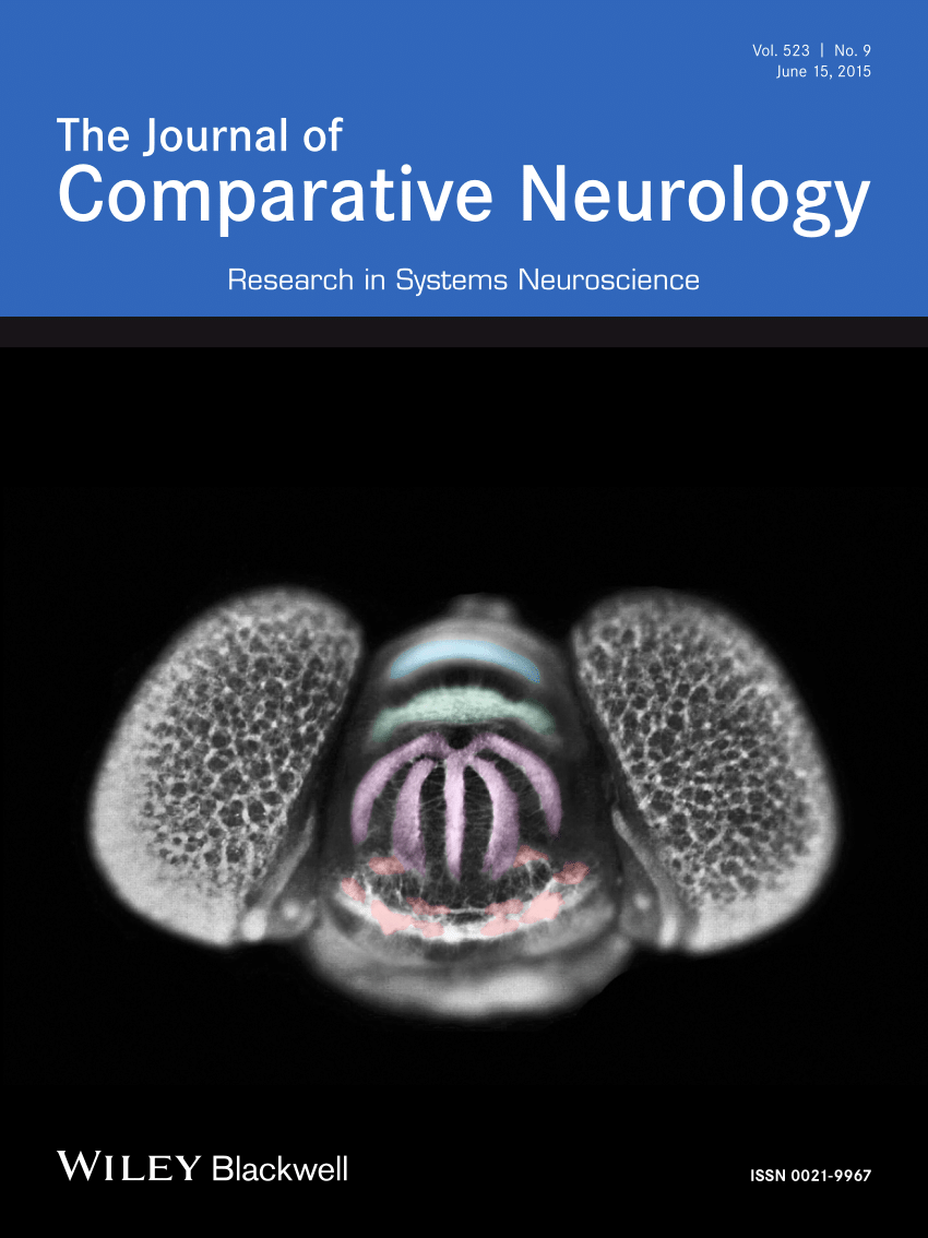 Journal of Comparative Neurology  Systems Neuroscience Journal