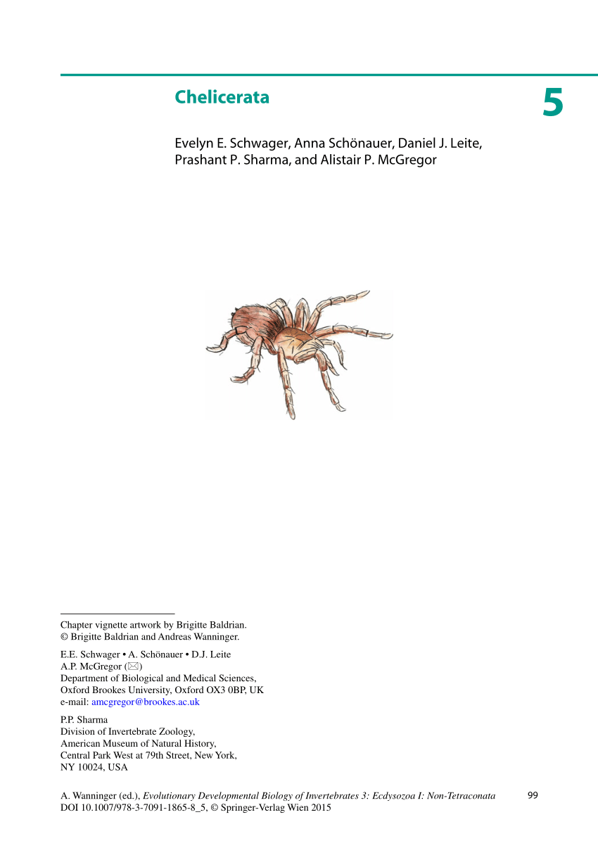PDF] Sensory Biology of Whip Spiders (Arachnida, Amblypygi