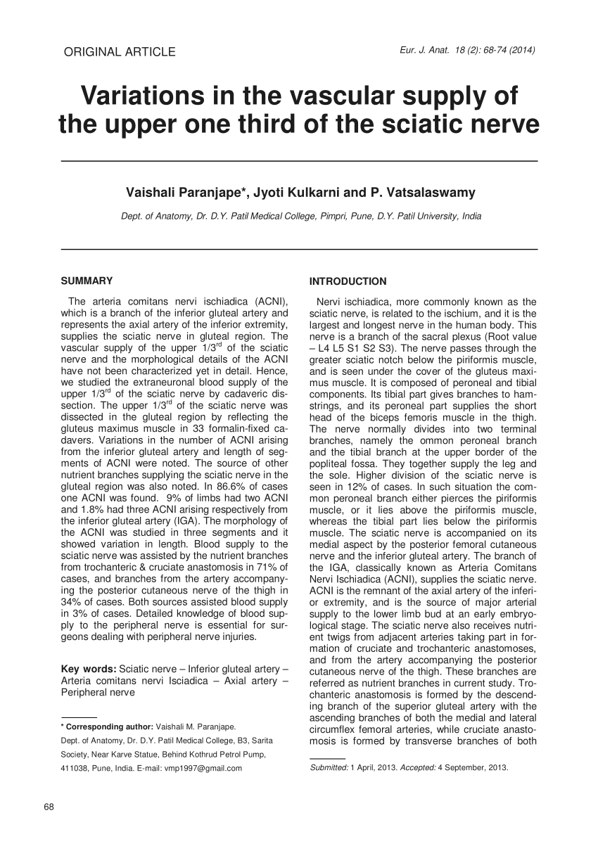 (PDF) Variations in the vascular supply of the upper one third of the