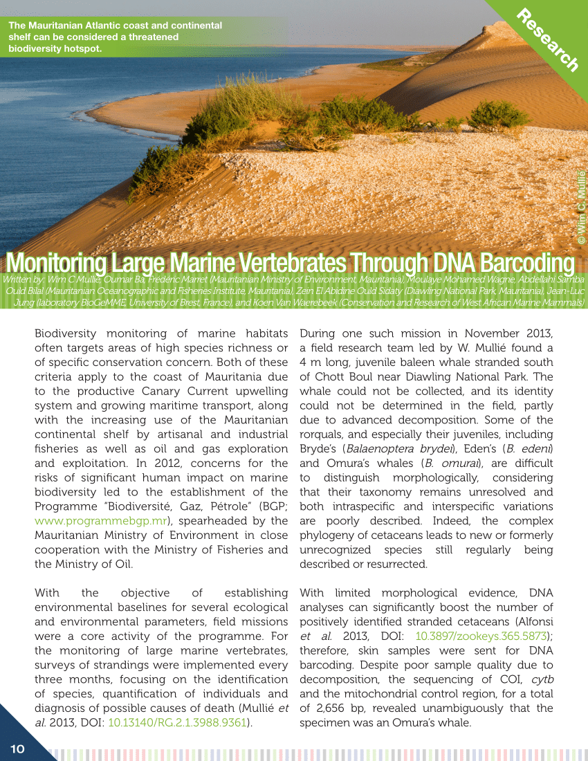 (PDF) Monitoring Large Marine Vertebrates Through DNA Barcoding