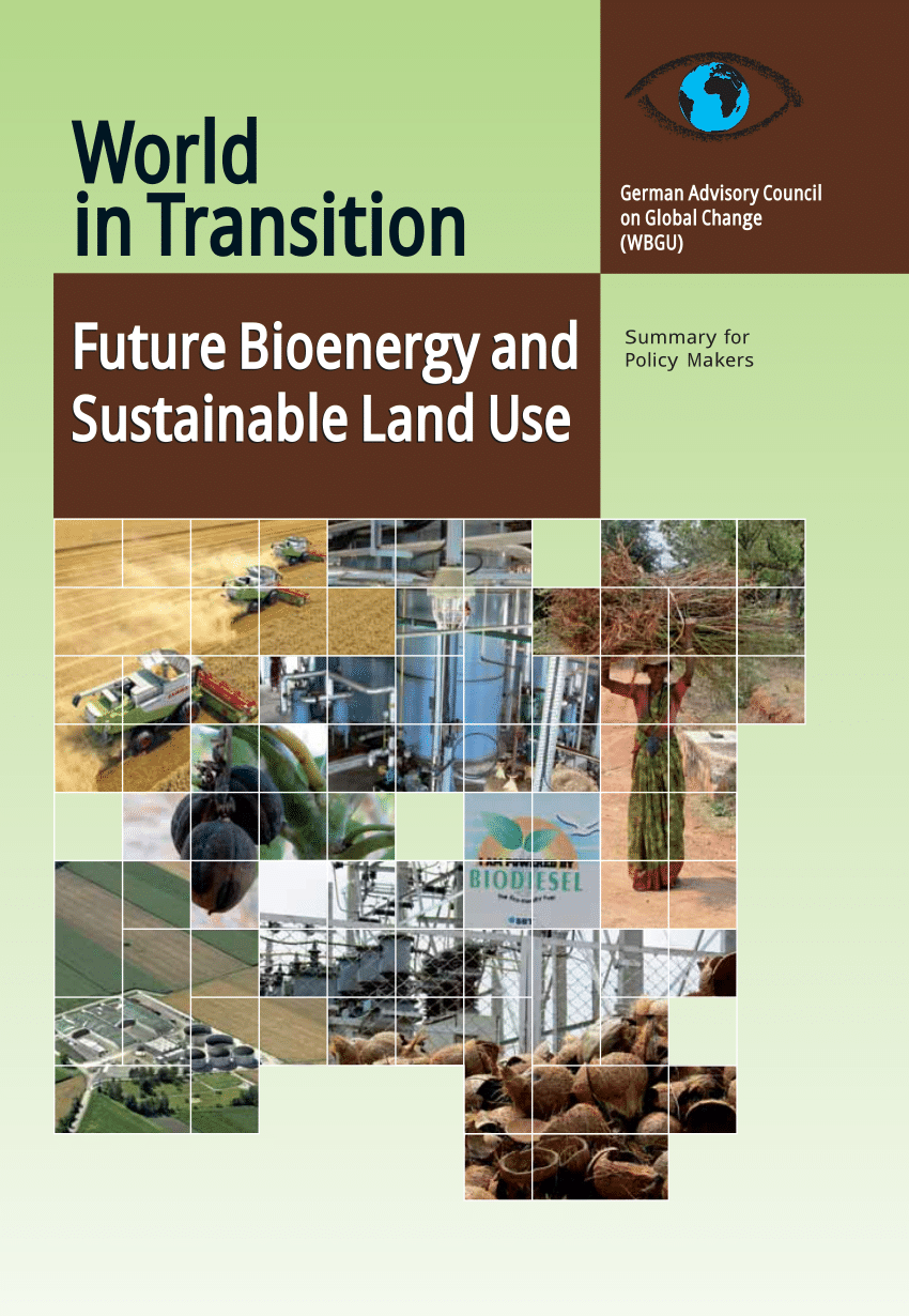 (PDF) Future Bioenergy and Sustainable Land Use