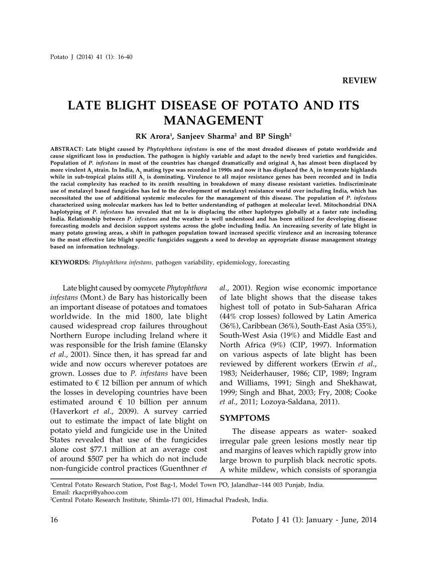 literature review on sweet potato pdf